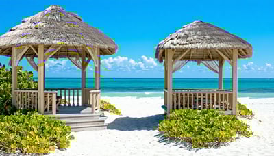 Newsletter signup illustration for Coastal Cabana EC
